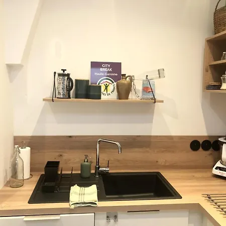 Elegant Urbain Avec Parking : Explorez La A Pied! トゥールーズ