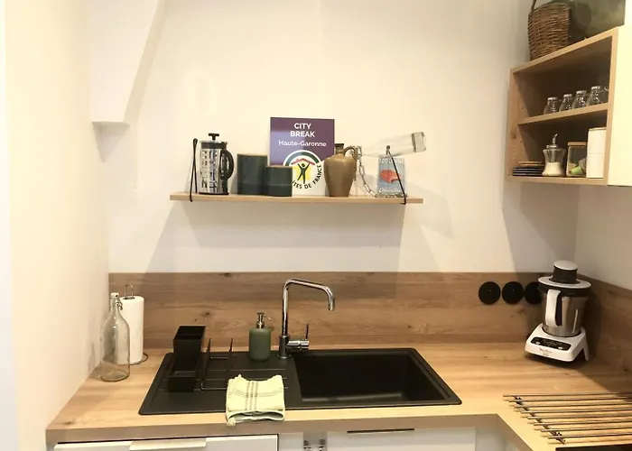 Elegant Urbain Avec Parking : Explorez La A Pied! טולוז